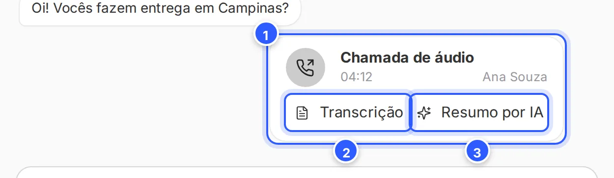 Chamada de áudio encerrada na conversa, com quem atendeu e os botões Transcrição e Resumo por IA.