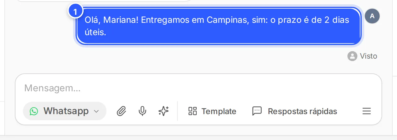 A resposta enviada aparece em azul, à direita da conversa, marcada como vista.