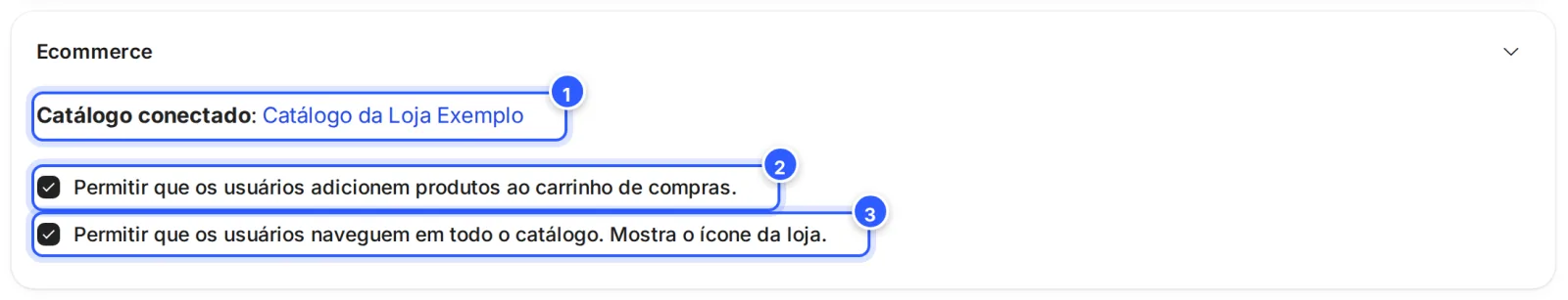 Seção Ecommerce com o catálogo conectado: Catálogo conectado, com o nome do catálogo, e as opções do carrinho e do catálogo marcadas.