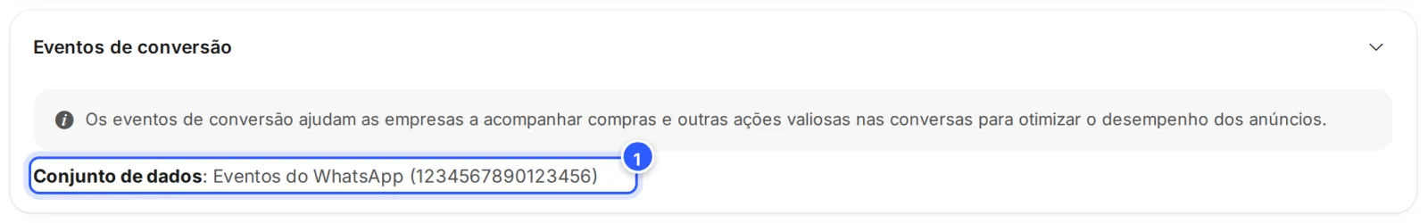 Seção Eventos de conversão com o conjunto de dados ligado: Conjunto de dados, com o nome e o número de identificação de exemplo.