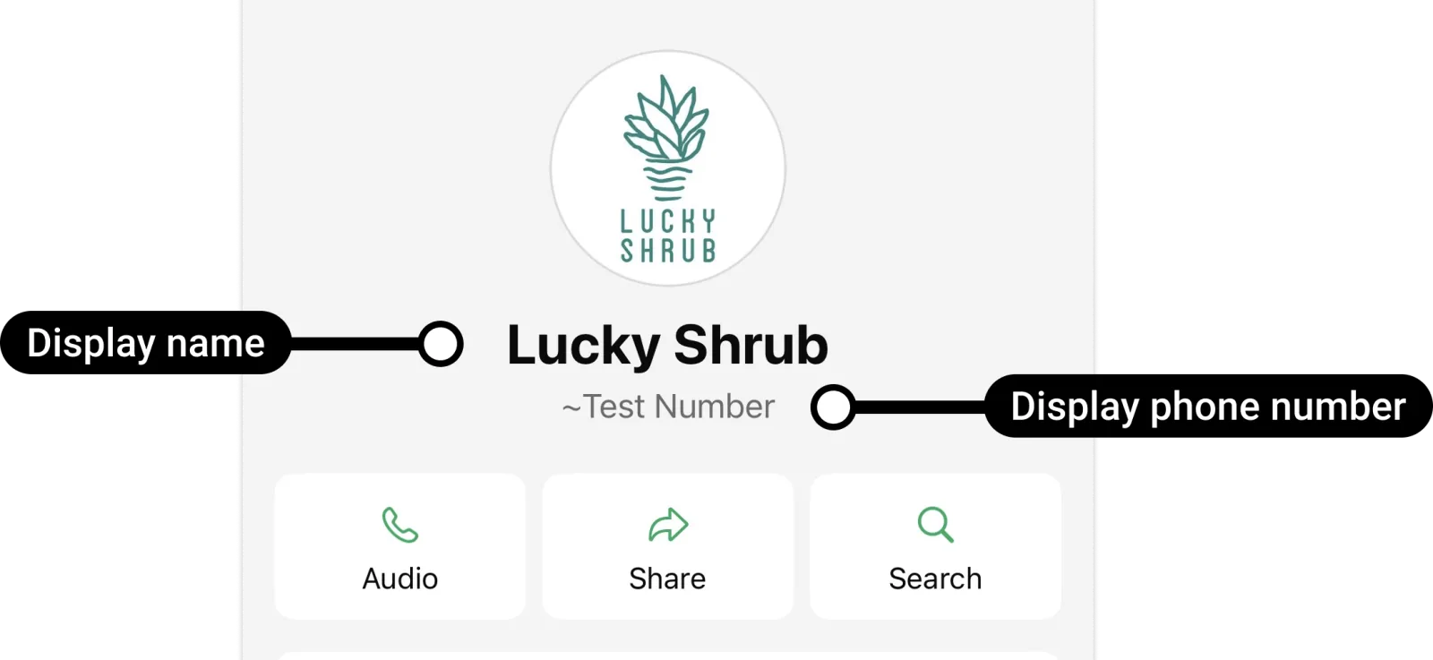 O perfil da empresa no WhatsApp do cliente, numa imagem da Meta em inglês, com o nome de exibição em destaque e o número de telefone logo abaixo.