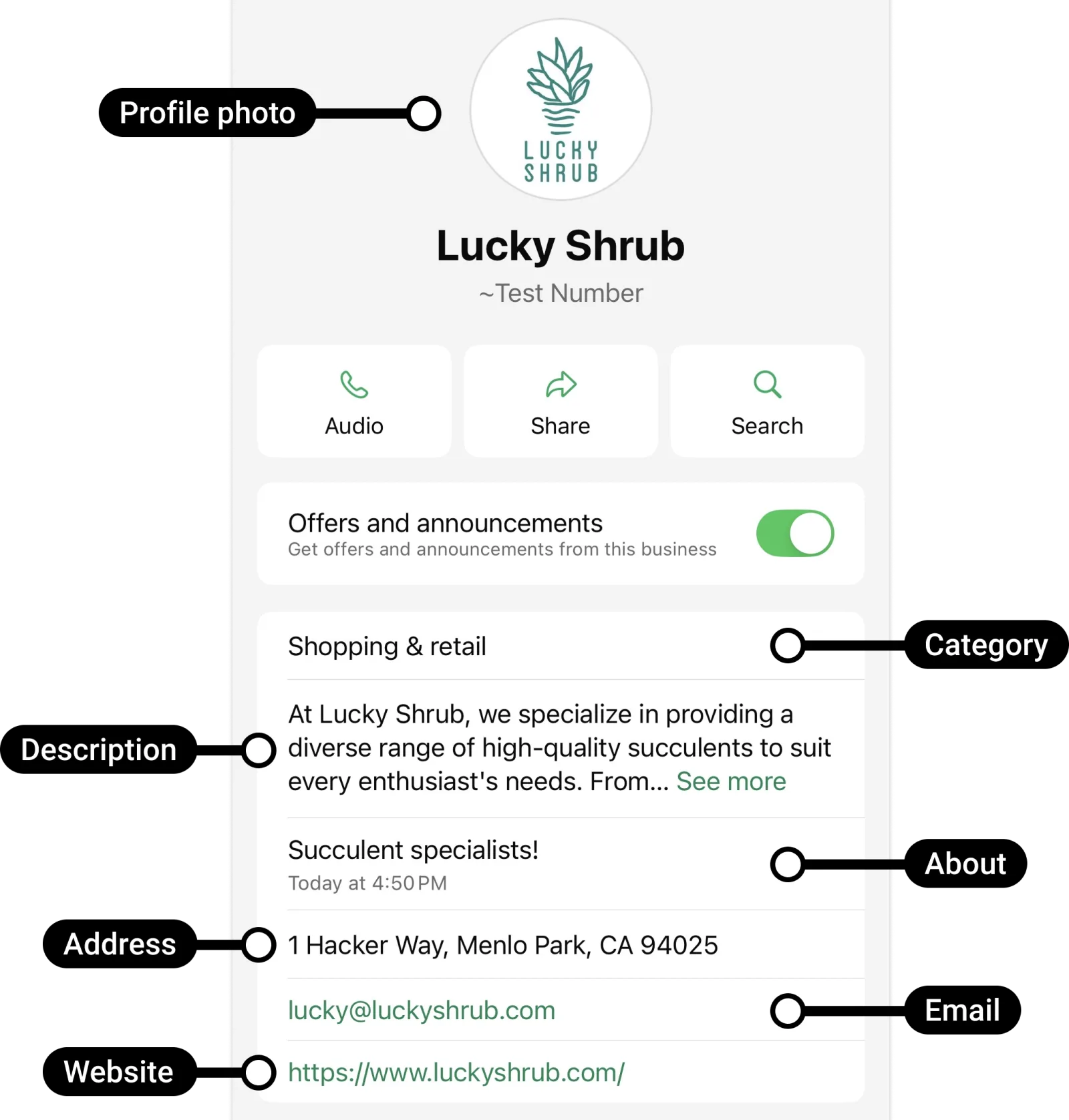 O perfil da empresa no WhatsApp do cliente, numa imagem da Meta em inglês: a foto, o nome de exibição, a categoria, a descrição, o Sobre, o endereço, o e-mail e o site.