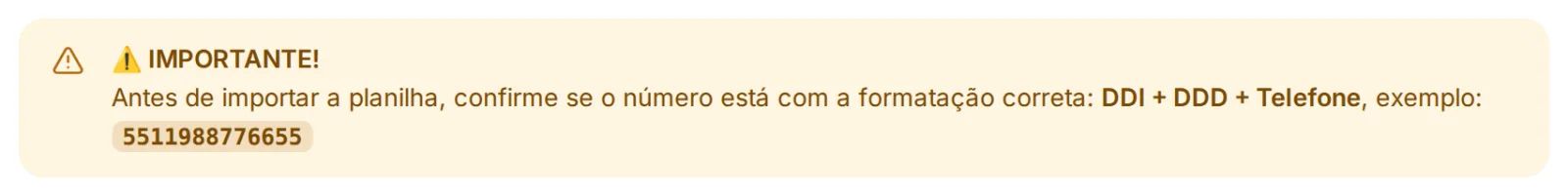 Aviso IMPORTANTE da tela Importar contatos: antes de importar a planilha, confirme se o número está com a formatação DDI + DDD + Telefone, exemplo 5511988776655.