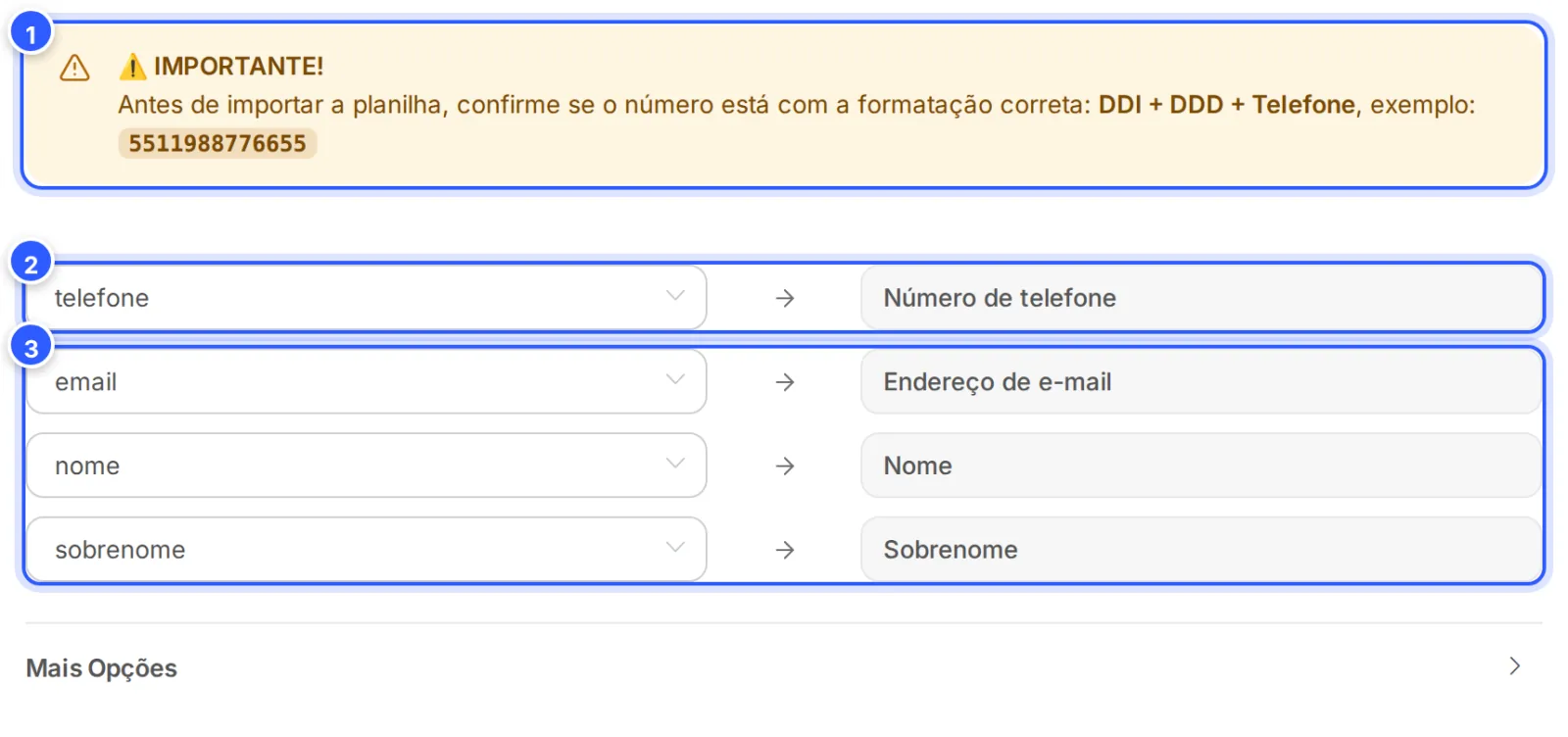 Fonte WhatsApp escolhida: o aviso IMPORTANTE com o formato DDI + DDD + Telefone e as colunas do arquivo ligadas a Número de telefone, Endereço de e-mail, Nome e Sobrenome.