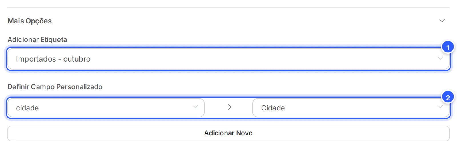 Mais Opções aberto: Adicionar Etiqueta com a etiqueta Importados - outubro e Definir Campo Personalizado com a coluna cidade ligada ao campo Cidade.