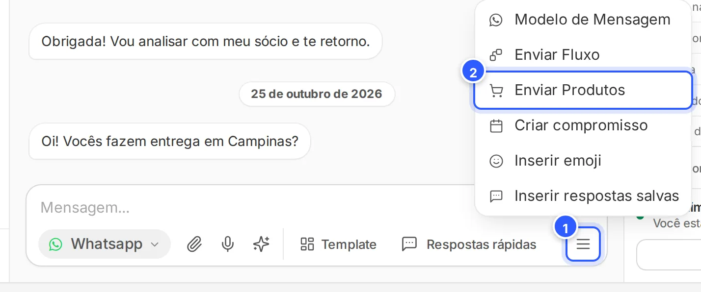 Menu Mais opções do campo de mensagem com o item Enviar Produtos, que aparece quando a conta tem produtos.