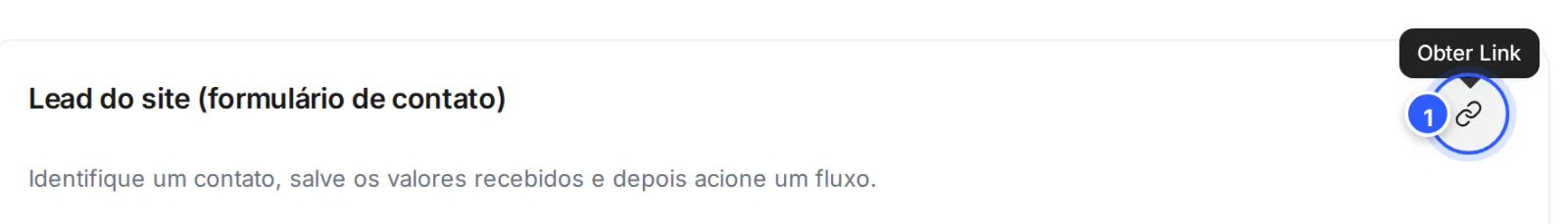 Topo do editor do webhook de entrada Lead do site, com o ícone de link e a dica Obter Link.